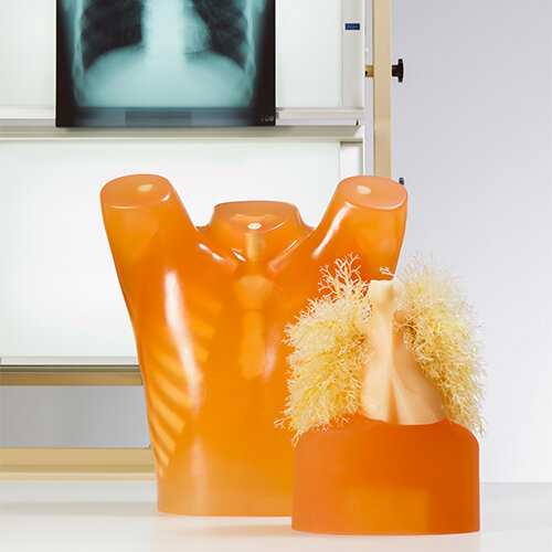 Phantom kiểm tra chất lượng hệ thống MRI và Y học hạt nhân