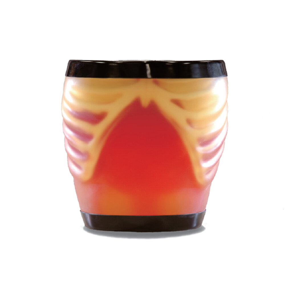 Phantom siêu âm chẩn đoán hình ảnh